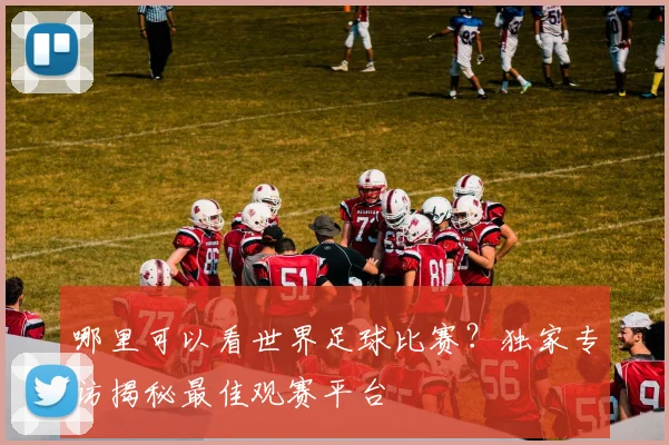 哪里可以看世界足球比赛?独家专访揭秘最佳观赛平台